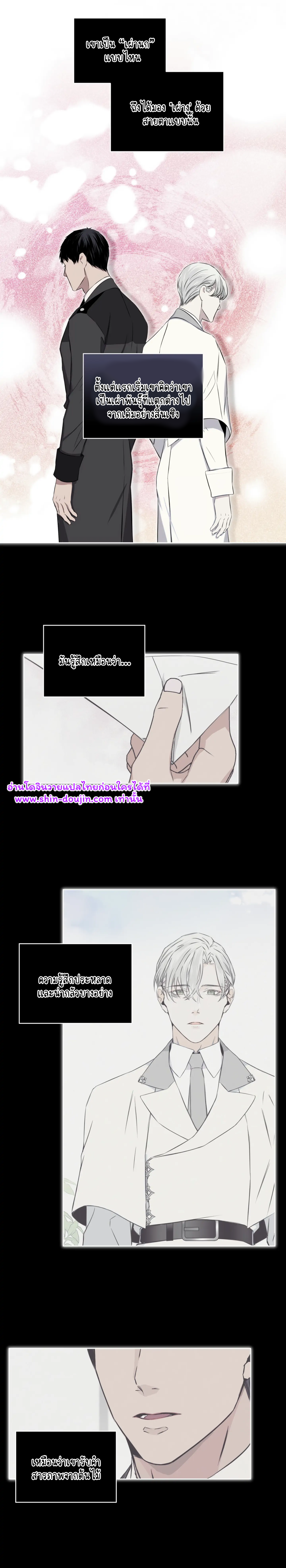 Forest Sea EP 11